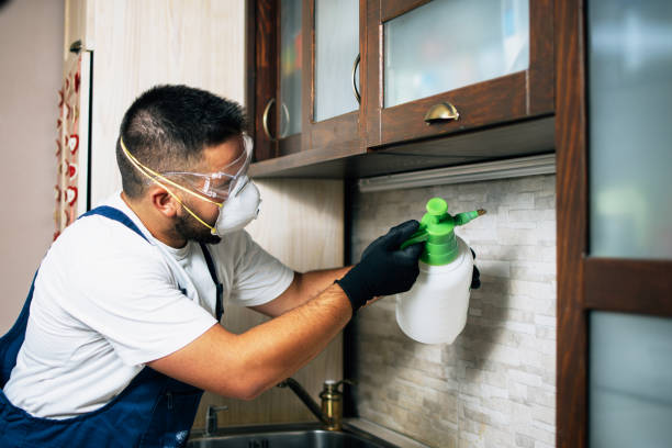 Best Insect Control  in Forest Park, OH