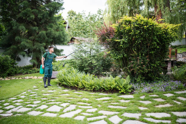 Best Pest Prevention Services  in Forest Park, OH