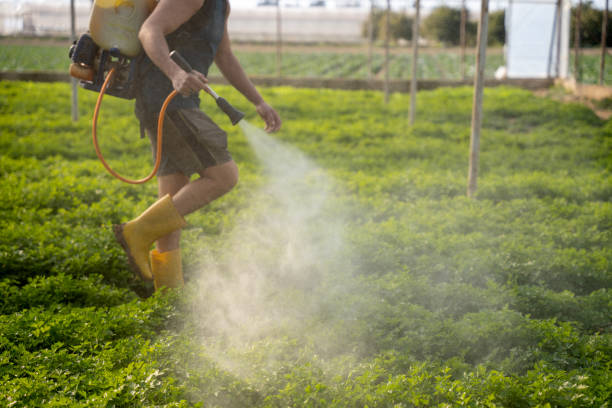 Best Affordable Pest Control Services  in Forest Park, OH