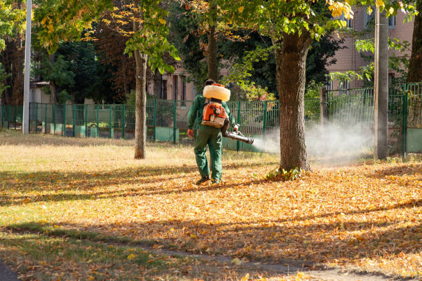 Best Spider Control Near Me  in Forest Park, OH