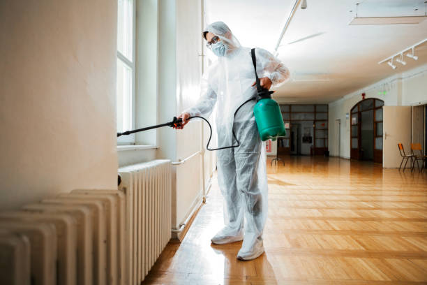 Best Wasp Removal Services  in Forest Park, OH