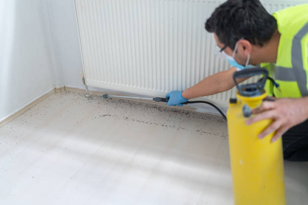 Best Commercial Pest Control Services  in Forest Park, OH