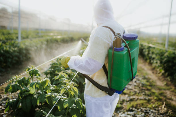 Best Mosquito Control Services  in Forest Park, OH